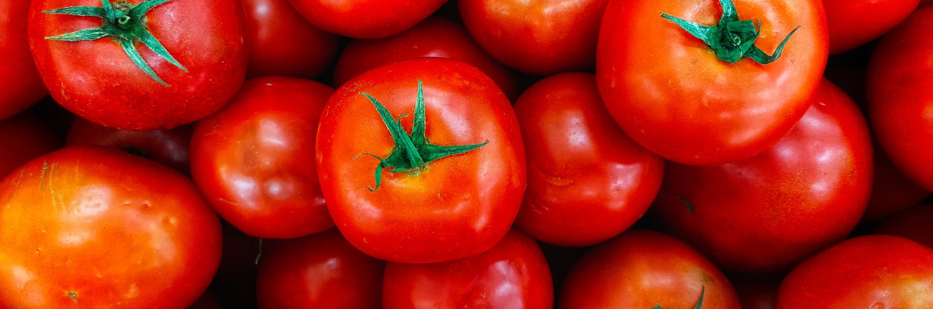 Tomato Intolerance Guide