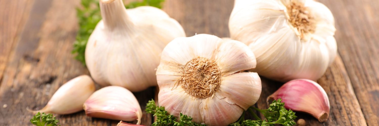 Garlic Allergy and Intolerance Guide