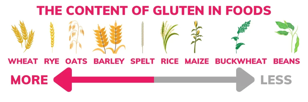 The Content of Gluten in Foods. More, wheat, rye, oats, barley, spelt. Less, rice, maize, buckwheat, beans.